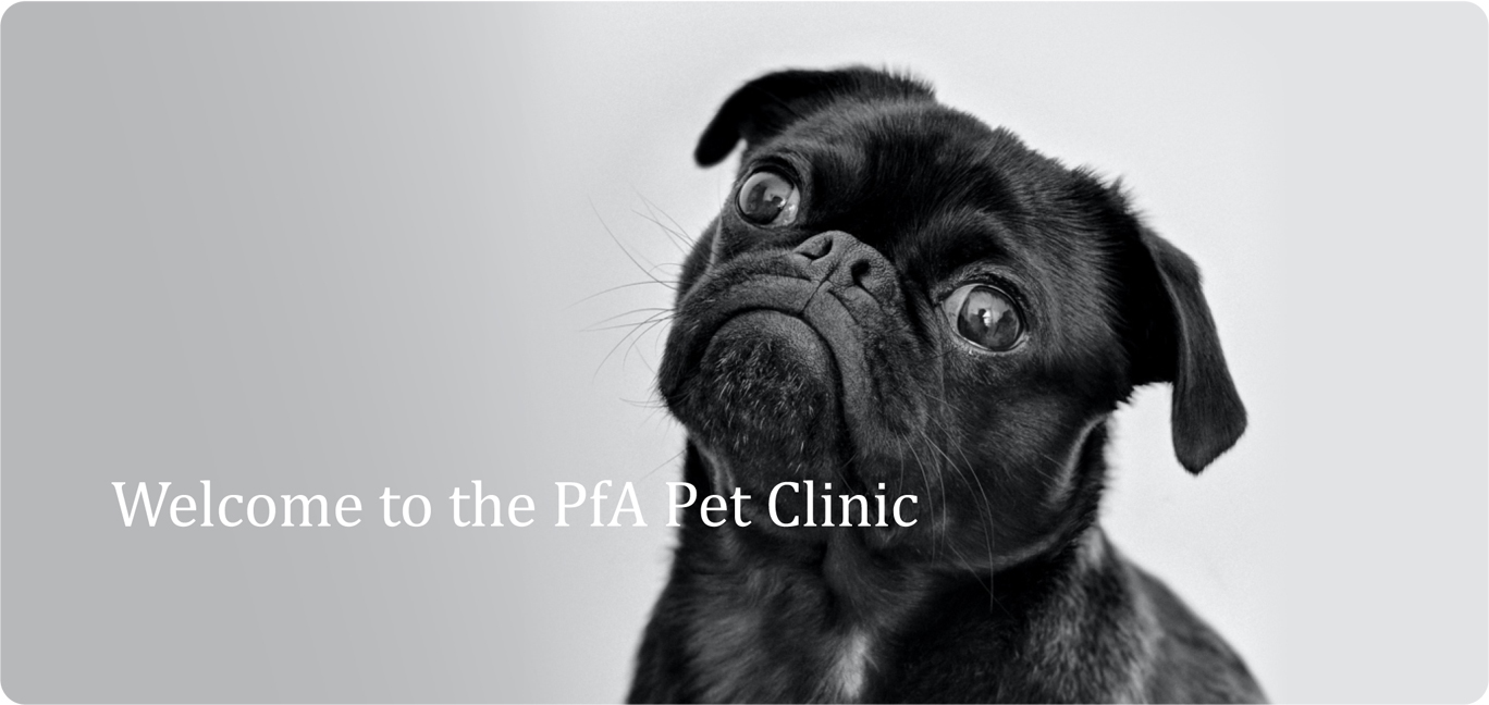 PfA Clinic