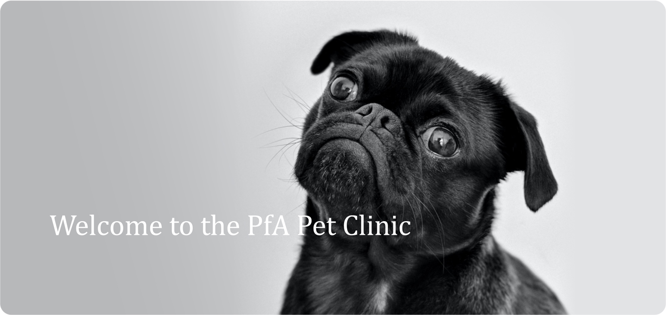 PfA Clinic PfA Clinic