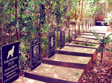 Pfa pet cemetery